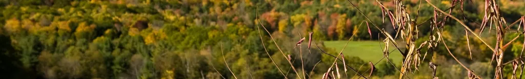 Vermont