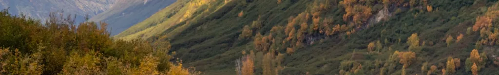 Alaska