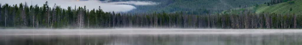 Idaho