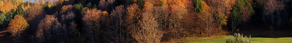 New Hampshire